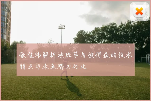 张佳玮解析迪班萨与彼得森的技术特点与未来潜力对比